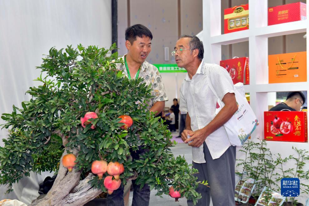 电游平台大全